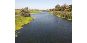 Die Aue der Unteren Havel in Brandenburg.