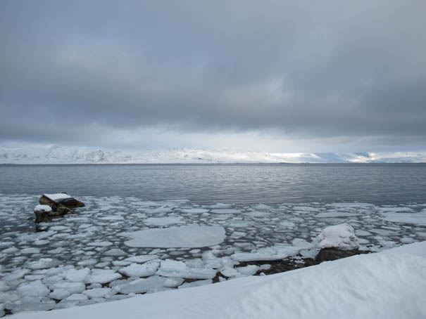 zur Vergrößerungsansicht des Bildes: Niedrige flüssigkeitshaltige Wolken sind häufig über dem Kongsfjord in Ny Alesund, Spitzbergen. Foto: Heike Kalesse-Los / Universität Leipzig
