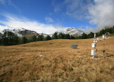 Der Versuchsstandort in Torgnon (Italien), ein Grasland auf etwa 2.100 Metern Höhe in den westlichen italienischen Alpen.. Der Versuchsstandort in Torgnon (Italien), ein Grasland auf etwa 2.100 Metern Höhe in den westlichen italienischen Alpen..