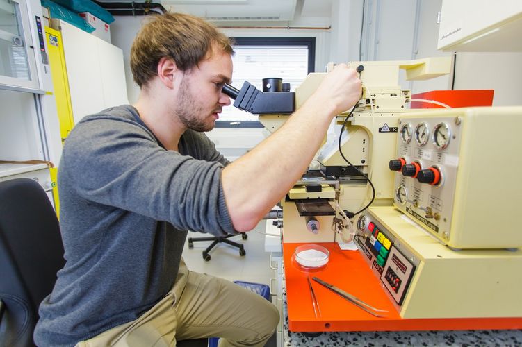 Student looking into a microscope