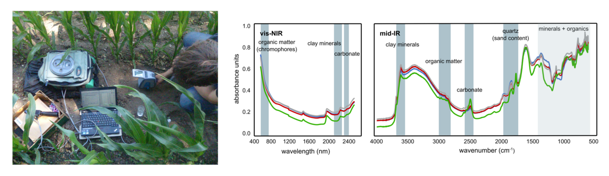 zur Vergrößerungsansicht des Bildes: Links wird ein Foto gezeigt mit Personen die ein Spektrometer nutzen um Bodeneigenschaften in einem Feld zu messen. Rechts sieht man in verschiedenen Farben typische spektrale Signaturkurven. An bestimmten Punkten auf den Kurven sind verschiedene detektierte biogeochemische Bodeneigenschaftenmarkiert.