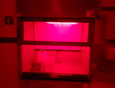 Foto des Säureabzugs im Lumineszenzlabor nur unter Rotlichtbedingungen, Foto: H. v. Suchodoletz