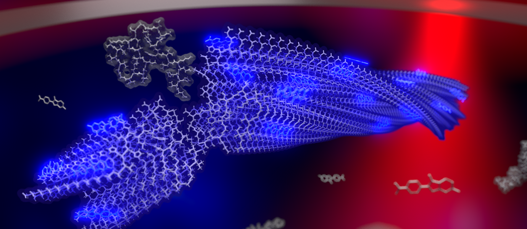 Darstellung einer wachsenden Amyloid-Fibrille in der Thermophoretischen Falle inklusive Laser