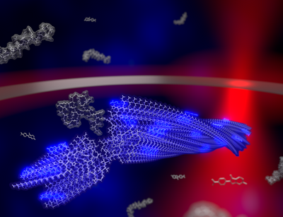 Darstellung einer wachsenden Amyloid-Fibrille in der Thermophoretischen Falle inklusive Laser