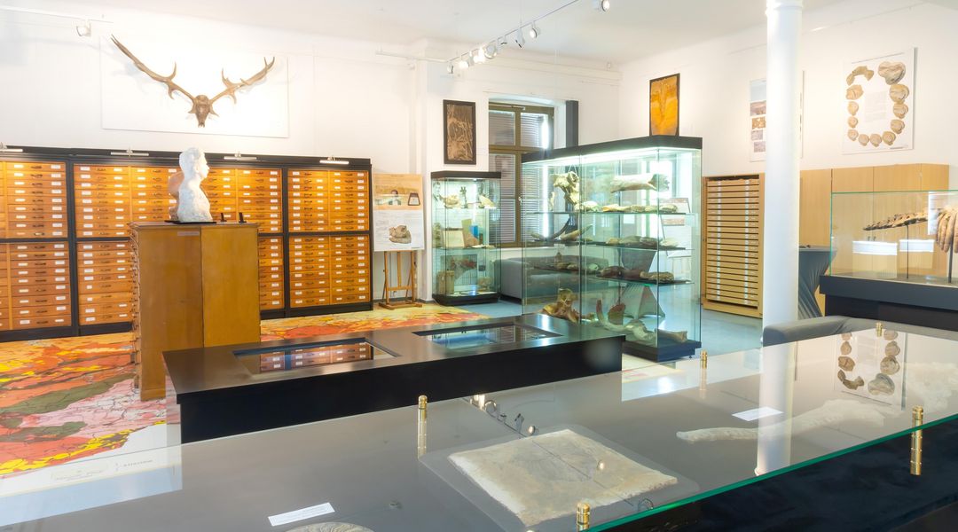 Visitor stack-room of the Geological-Paleontological Collection. Foto: Swen Reichhold