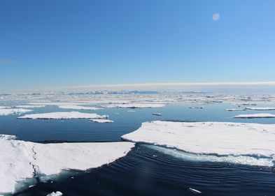 Farbfoto: Eisschollen im Meer