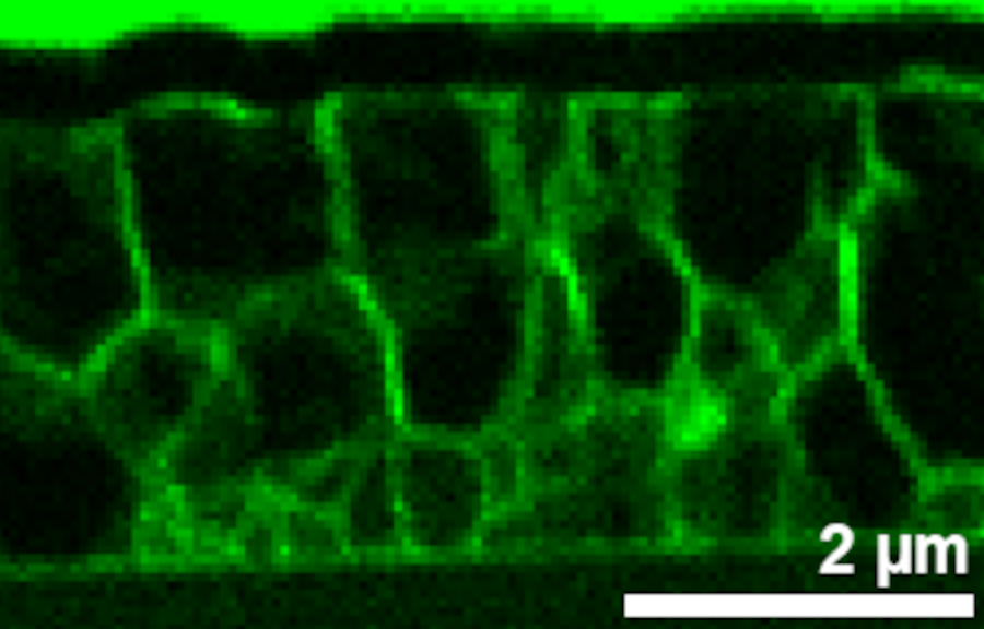 zur Vergrößerungsansicht des Bildes: Querschnitt einer Chalkopyrit-Probe mittels XRF (Röntgenfluoreszenzspektroskopie) aufgenommen