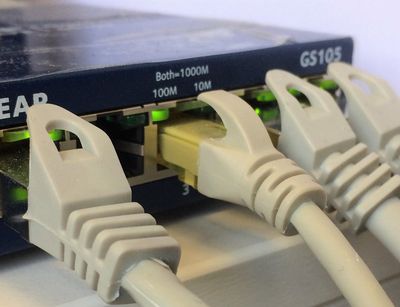 Switch port with cables. Photo: Kartin Schandert / Universität Leipzig