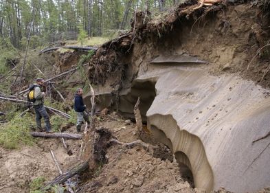 Durch starke Tau- und Erosionsprozesse freigelegte Permafrostablagerungen nahe der Siedlung Tabaga in Zentraljakutien. Durch starke Tau- und Erosionsprozesse freigelegte Permafrostablagerungen nahe der Siedlung Tabaga in Zentraljakutien.