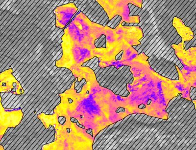 Diversity of vegetation pollination strategies derived from remote sensing data, image: Hannes Feilhauer