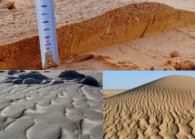 Die Mischung macht’s: Megarippel in Sandwüsten (unten) haben eine windabhängig variable Sandzusammensetzung aus groben und feinen Körnern (oben). Ein darin verstecktes universelles Korngrößenverhältnis wurde jetzt erstmals nachgewiesen. Die Mischung macht’s: Megarippel in Sandwüsten (unten) haben eine windabhängig variable Sandzusammensetzung aus groben und feinen Körnern (oben). Ein darin verstecktes universelles Korngrößenverhältnis wurde jetzt erstmals nachgewiesen.