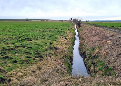 Das Bayerische Donaumoos ist durch dunkle Moorböden und ein Netz an künstlichen Drainagegräben gekennzeichnet. Das Bayerische Donaumoos ist durch dunkle Moorböden und ein Netz an künstlichen Drainagegräben gekennzeichnet.