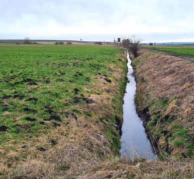 Das Bayerische Donaumoos ist durch dunkle Moorböden und ein Netz an künstlichen Drainagegräben gekennzeichnet.
