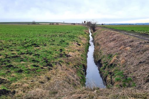 Das Bayerische Donaumoos ist durch dunkle Moorböden und ein Netz an künstlichen Drainagegräben gekennzeichnet.