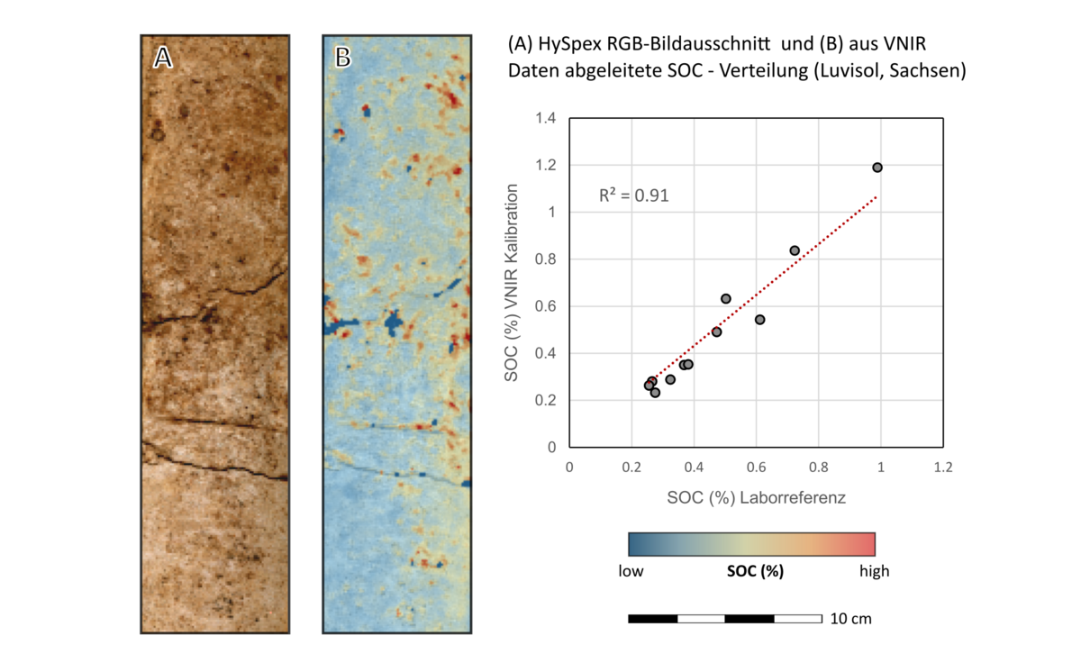 zur Vergrößerungsansicht des Bildes: Links. Echtfarben (braune) Abbildung eines Bodenprofil, Mitte: hyperspektral abgeleitete Verteilung des organischen Bodenkohlenstoffs des Bodenprofils in einer Blau zu Rot Farbskale, Rechts: Streudiagramm zeigt den positiven Zusammenhang von Labormessungen und Kalibrationsdaten als Punkte