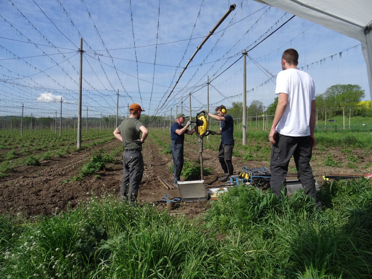 zur Vergrößerungsansicht des Bildes: Studierenden und MitarbeiterInnen des Instituts für Geographie führen eine Rammkernsondierung in der Aue der Weißen Elster bei Sonnenschein durch, Foto: M. Ulrich