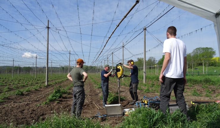 Studierenden und MitarbeiterInnen des Instituts für Geographie führen eine Rammkernsondierung in der Aue der Weißen Elster bei Sonnenschein durch, Foto: M. Ulrich