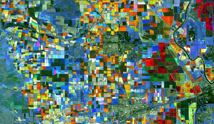 Visualisierte NDVI-Zeitreihe des Landsat-8-Satelliten aus dem Sacramento Valley, Kalifornien. Abbildung erstellt von Hannes Feilhauer auf Basis von USGS-Landsat-8-Daten.