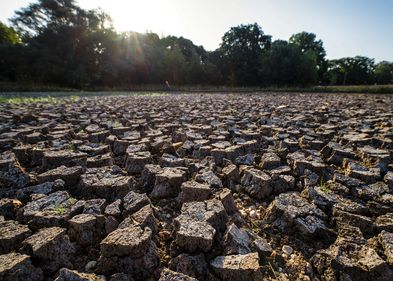 Klimawandel verstärkt extreme Hitze im Boden. Foto: André Künzelmann (UFZ) Zu sehen ist ein ausgetrocknetes Feld.