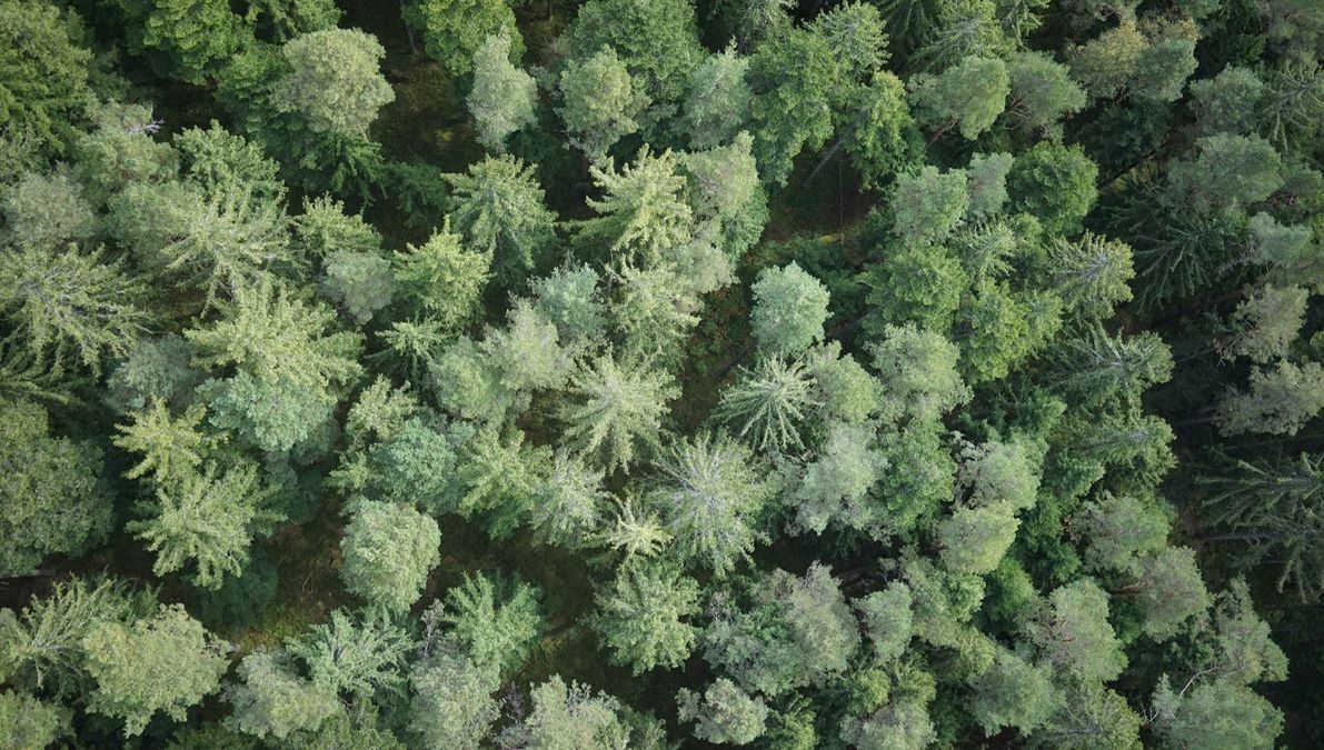 zur Vergrößerungsansicht des Bildes: Schwarzwald, Drohnenluftbild: Teja Kattenborn