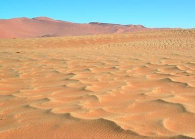 Unerwartete Verwandtschaft: Megarippel (vorne) und Sanddünen (hinten) Unerwartete Verwandtschaft: Megarippel (vorne) und Sanddünen (hinten)