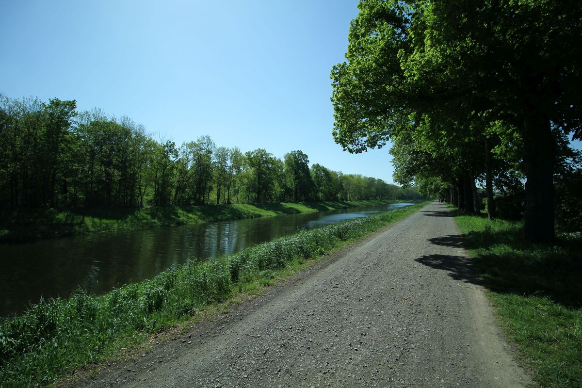 zur Vergrößerungsansicht des Bildes: Fahrradweg am Waldrand, links ein Fluss