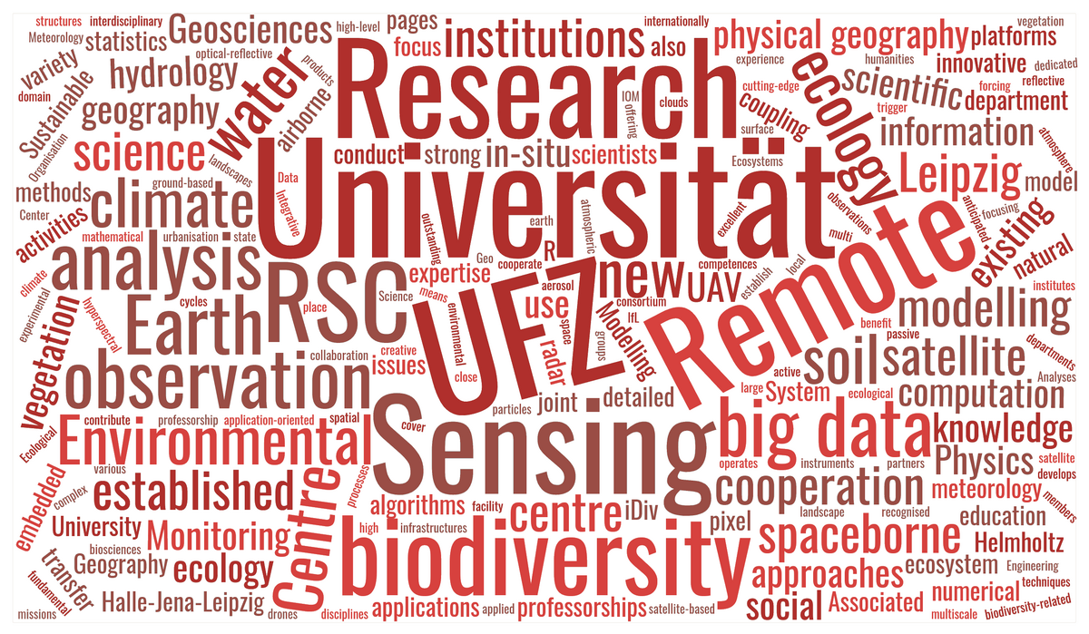 enlarge the image: Decorative image with text cloud on the Centre for Remote Sensing in Earth System Research and its research