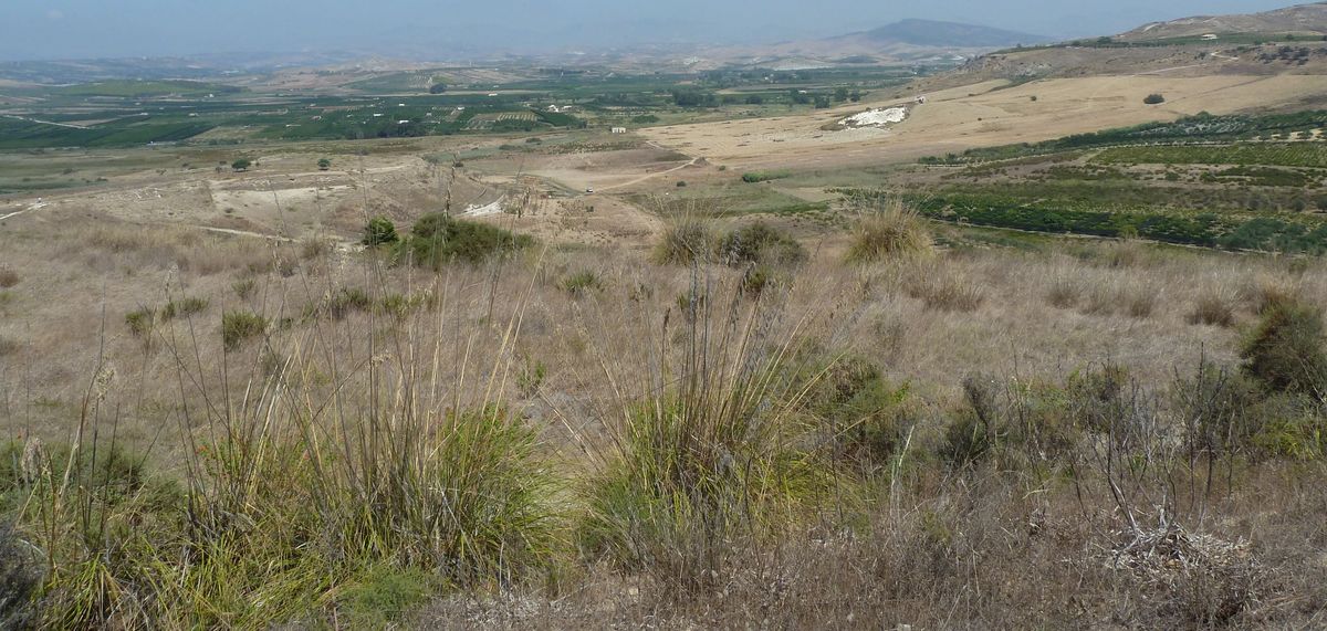 enlarge the image: Dry landscaope in Sicilia gezeichnet von Trockenheit. Photo: Katrin Schandert / Universität Leipzig