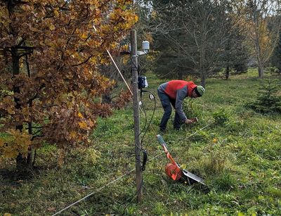 Field work at Arboretum, photo: Josefine Umlauft