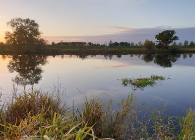 Historische Anthroposphären sind in den Auen und Mooren Mitteleuropas allgegenwärtig. Die Region der Unteren Havel wird eine von mehreren Untersuchungsräumen der neuen LeipzigLab-Arbeitsgruppe sein. Foto: Anja Linstädter Sonnenuntergang an der Havel. Es ist die Havel zu sehen, am Rand stehen Bäume und Büsche.