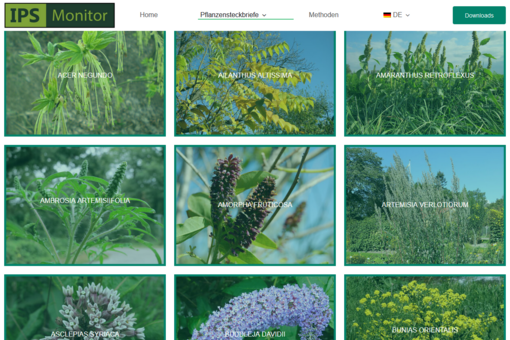 Screenshot einer Website, die Bilder von verschiedenen Pflanzen zeigt