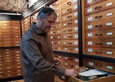 Kustos Frank Bach zeigt eine Gesteinssammlung, Foto: Esther Benning Ein Mann steht vor Regalschrank und schaut in eine Schublade mit Steinen drin