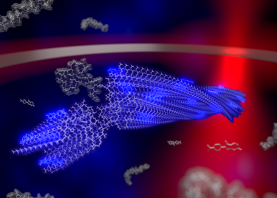 Darstellung einer wachsenden Fibrille in der Falle inklusive Laser. Darstellung einer wachsenden Fibrille in der Falle inklusive Laser.