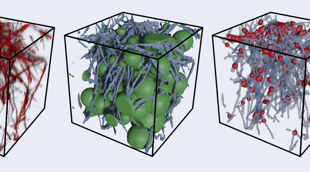 Konfokales 3D-Bild von Kollagen, Porengröße und Netzwerkstruktur