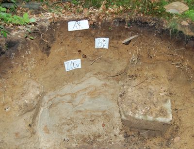 Foto eines Bodenprofils mit 3 unterschiedlichen Horizonten an einem Waldhang in der Nähe von Freienorla, Foto: J. Heinrich