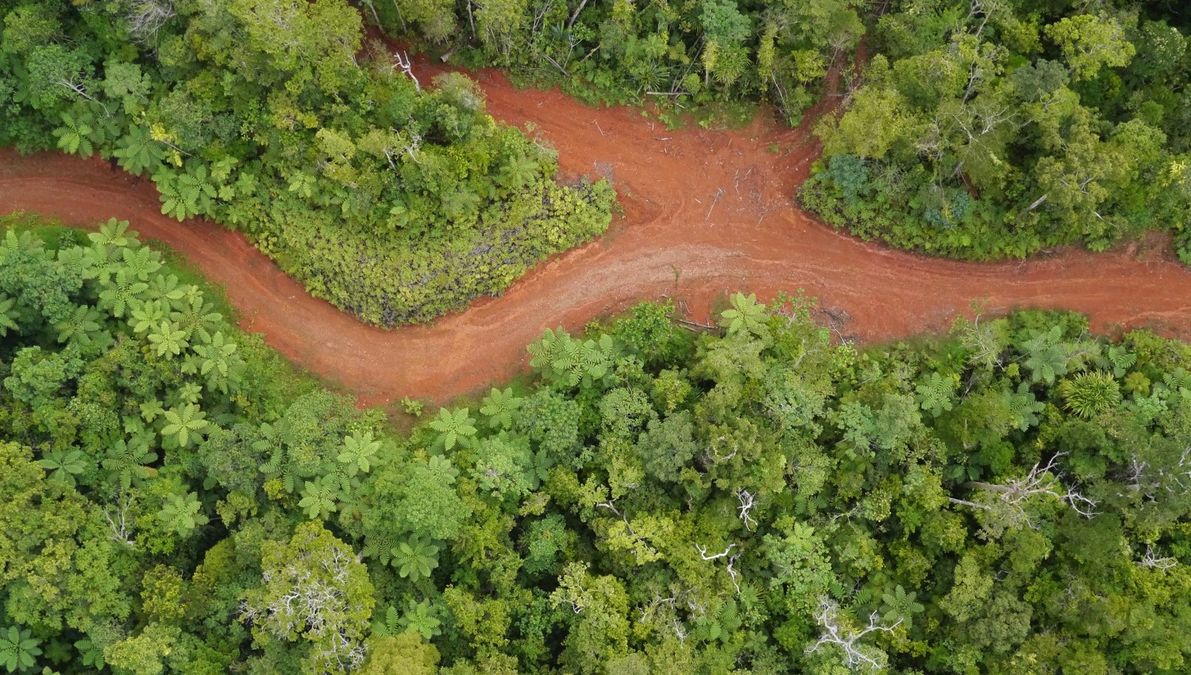 zur Vergrößerungsansicht des Bildes: Fiji Primary Forest, Drohnenluftbild: Teja Kattenborn