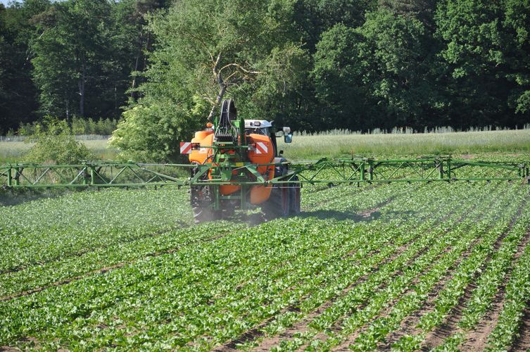 Pesticides used in agriculture contribute to biodiversity loss. Photo: Markus Bernards