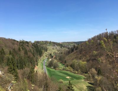 Grüne Landschaft